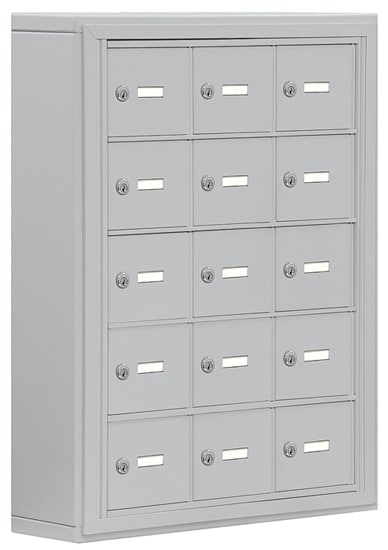 Salsbury Cell Phone 15 Door Locker