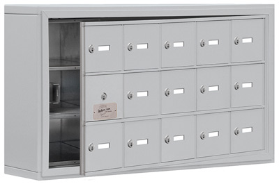 Salsbury Cell Phone 15 Door Locker