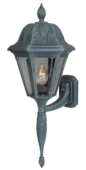 Special Lite Floral Wall Mount Light