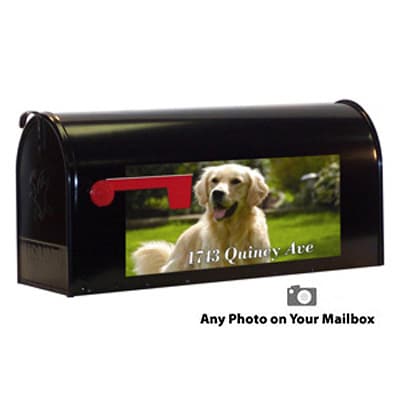 Custom Photo Mailbox