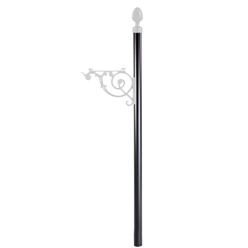Pole C2 (Post Only) Product Image
